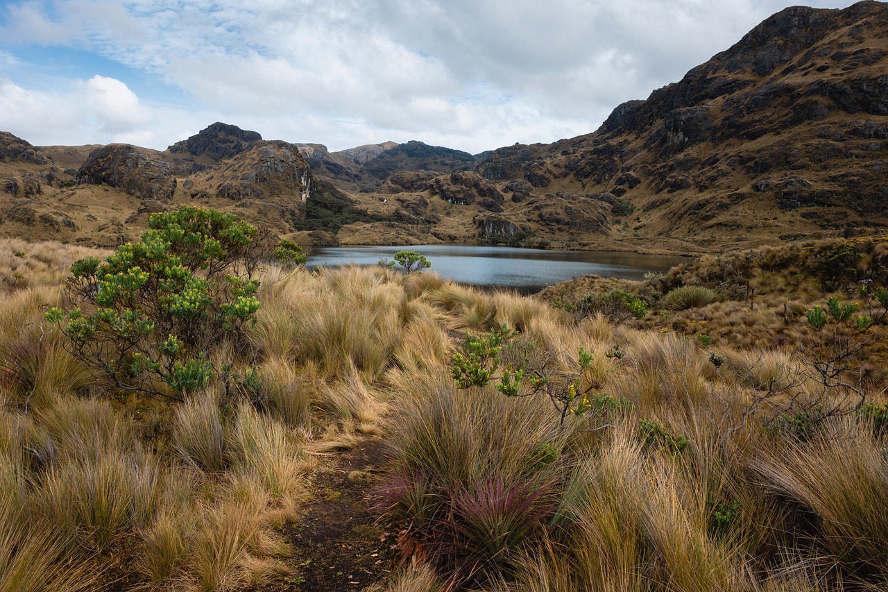 Why Conserving Wetlands is Crucial for a Healthy Planet